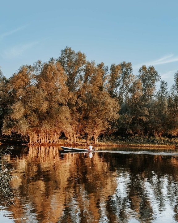 majestatyczny, sezon jesień, Łódź, Jezioro, motorówka, krajobraz, wody, odbicie, Rzeka, drzewo