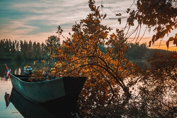 motorboat, river boat, boat, branches, trees, autumn season, landscape, autumn, forest, tree