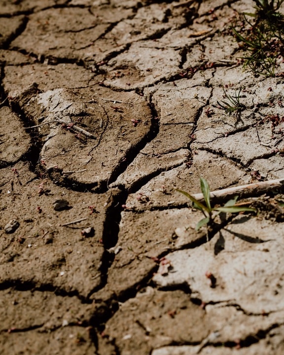Terra, estação seca, seca, temporada de verão, solo, terreno baldio, lama, seca, terreno, erosão