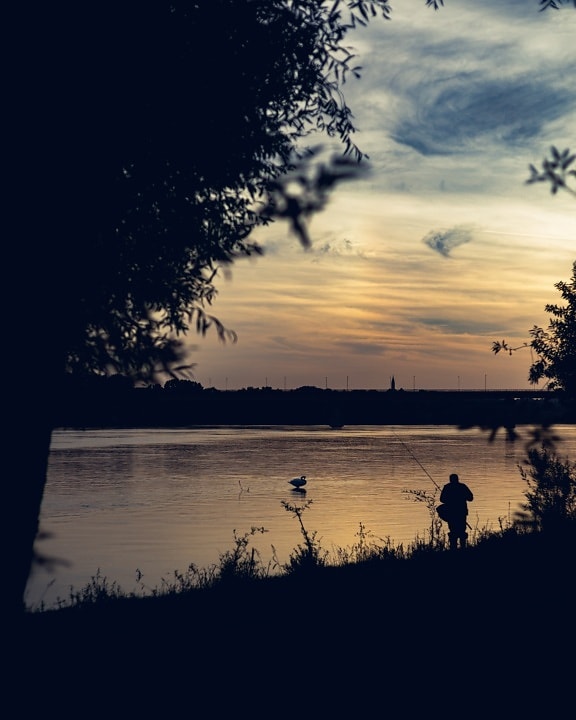 fisherman, fishing, night, water, sunset, dawn, silhouette, lake, reflection, sun