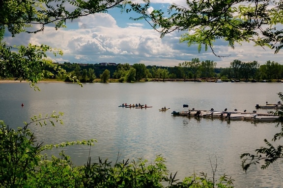 kayak, kayak, port, bateaux, des loisirs, eau, forêt, rive, rivière, au bord du lac