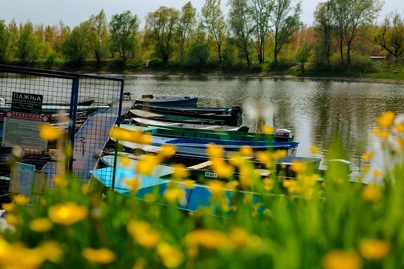 port, łodzie, Łódź, River boat, wody, natura, krajobraz, Jezioro, Rzeka, latem