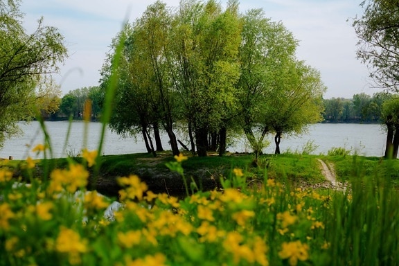 берег реки, река, завод, желтый, пейзаж, дерево, природа, парк, лист, солнце