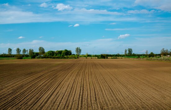 paisaje, prado, césped, horizonte, campo, rural, agricultura, suelo, tierras de cultivo, naturaleza