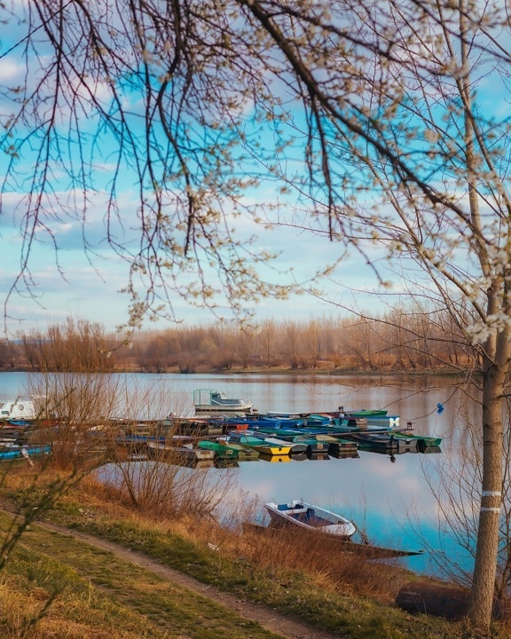 harbour, boats, atmosphere, calm, water, tree, forest, landscape, river, lake