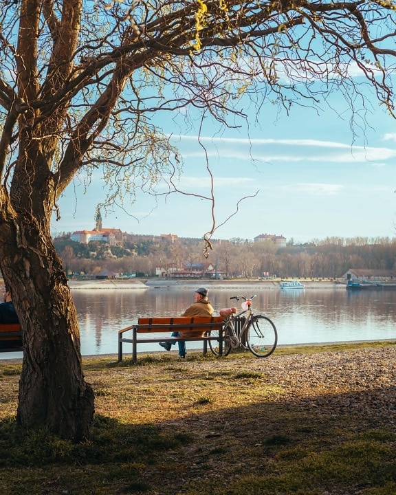 pensioner, elderly, man, sitting, bench, riverbank, tree, furniture, water, river