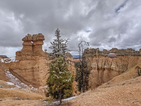 snow, desert, geology, rock, formation, sandstone, conifer, tree, fortification, canyon