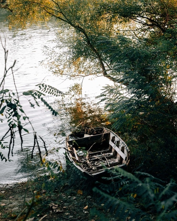 abandoned, boat, bushes, riverbank, landscape, water, river, nature, tree, wood