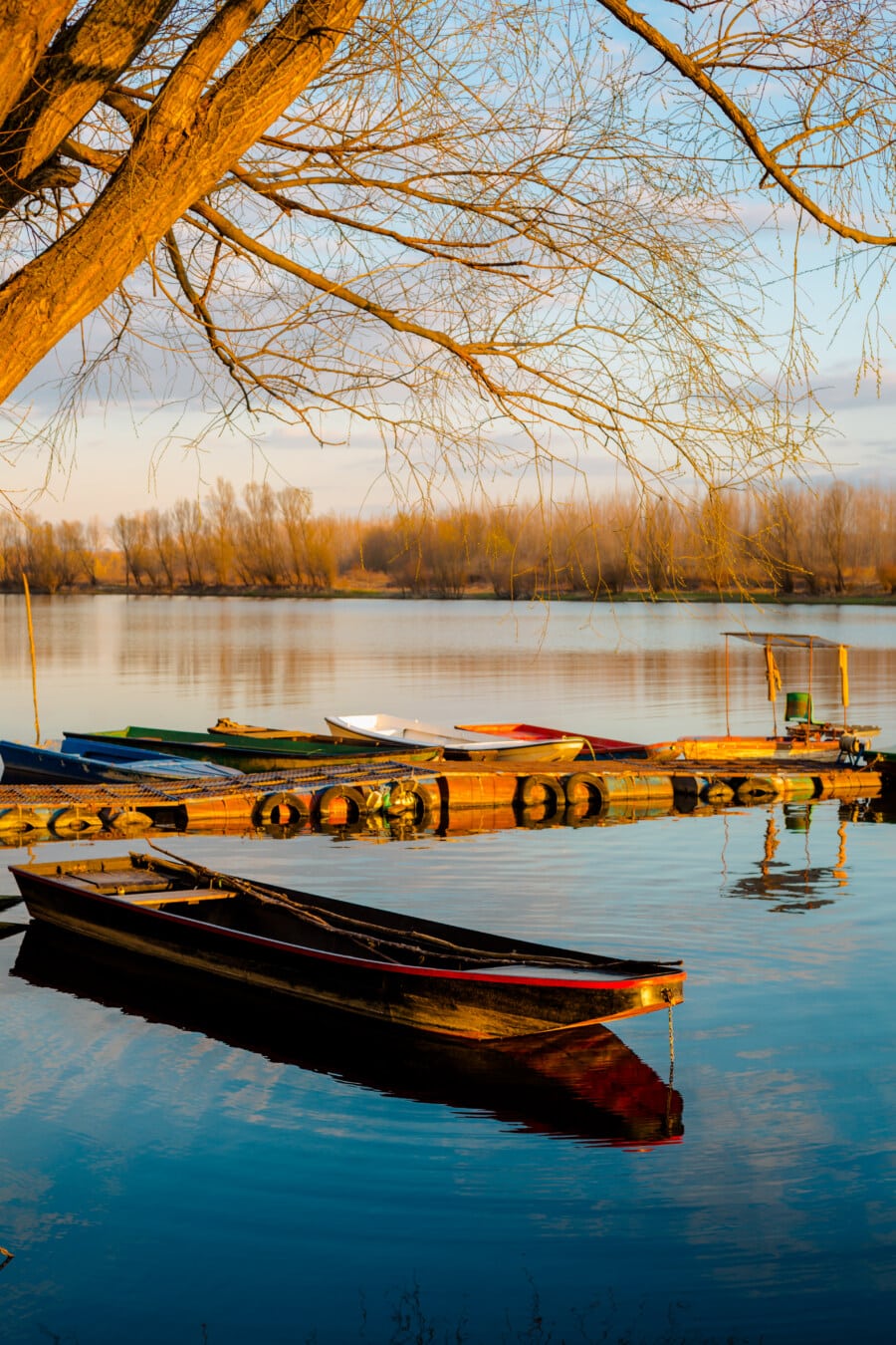 trä, fiskebåt, lugn, vatten, sjön, marina, båt, reflektion, floden, solnedgång