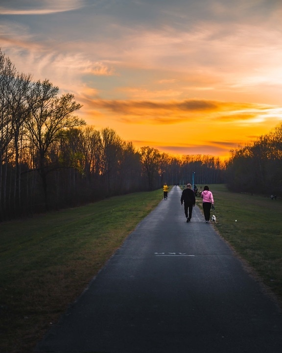 jogging, people, recreation, sunset, road, physical activity, dawn, grass, rural, ascent