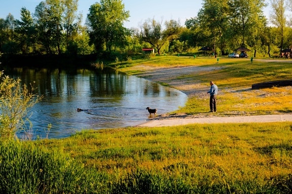 recreation, man, lakeside, dogs, spring time, idyllic, sunny, lake, water, landscape