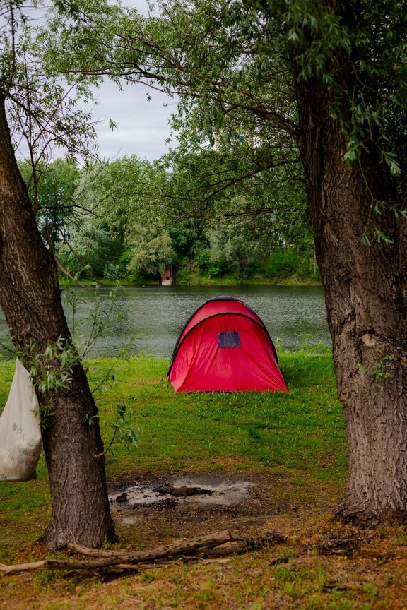tente, rouge, feu de camp, Camping, forêt, berge, rivière, nature, paysage, arbre