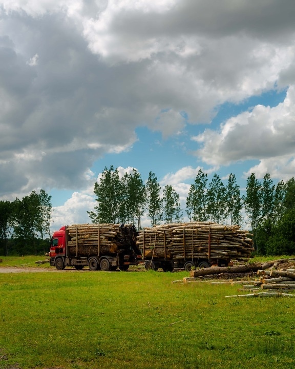 truck, big, transport, wood, industry, vehicle, structure, outdoors, nature, tree