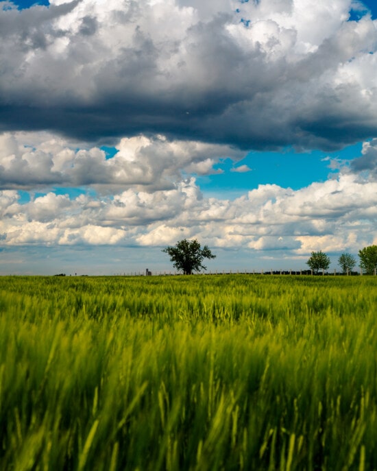 Imagen Gratis Viento Tierras De Cultivo Wheatfield Campo Rural Verano Césped En La Nube 9183