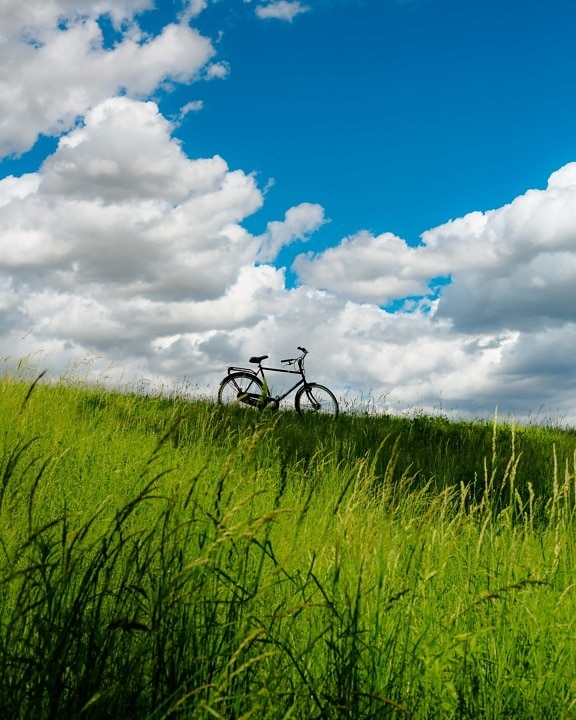 fiets, heuveltop, blauwe hemel, grasplanten, lente, zomer, sfeer, platteland, boerderij, gras