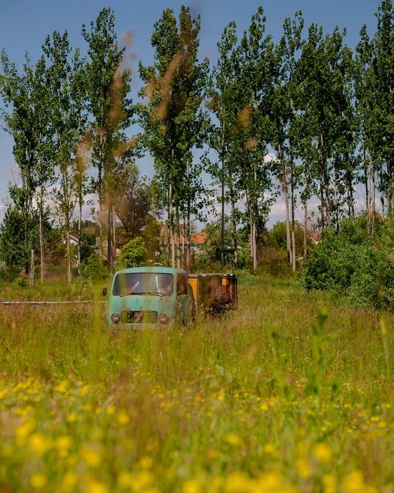 beehive, truck, rural, tree, vehicle, grass, nature, landscape, wood, outdoors