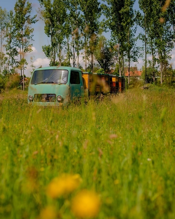 lastbil, gammal stil, bikupa, transport, gräsbevuxen, landsbygdens, fordon, landskap, gräs, sommar