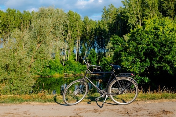 rural, Carretera, bicicleta, junto al lago, bosque, árbol, ciclista, rueda, naturaleza, verano