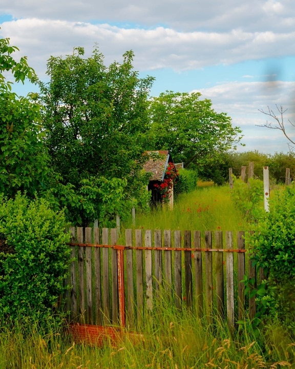 picket fence, barn, farm, village, farmland, farmhouse, orchard, trees, landscape, grass