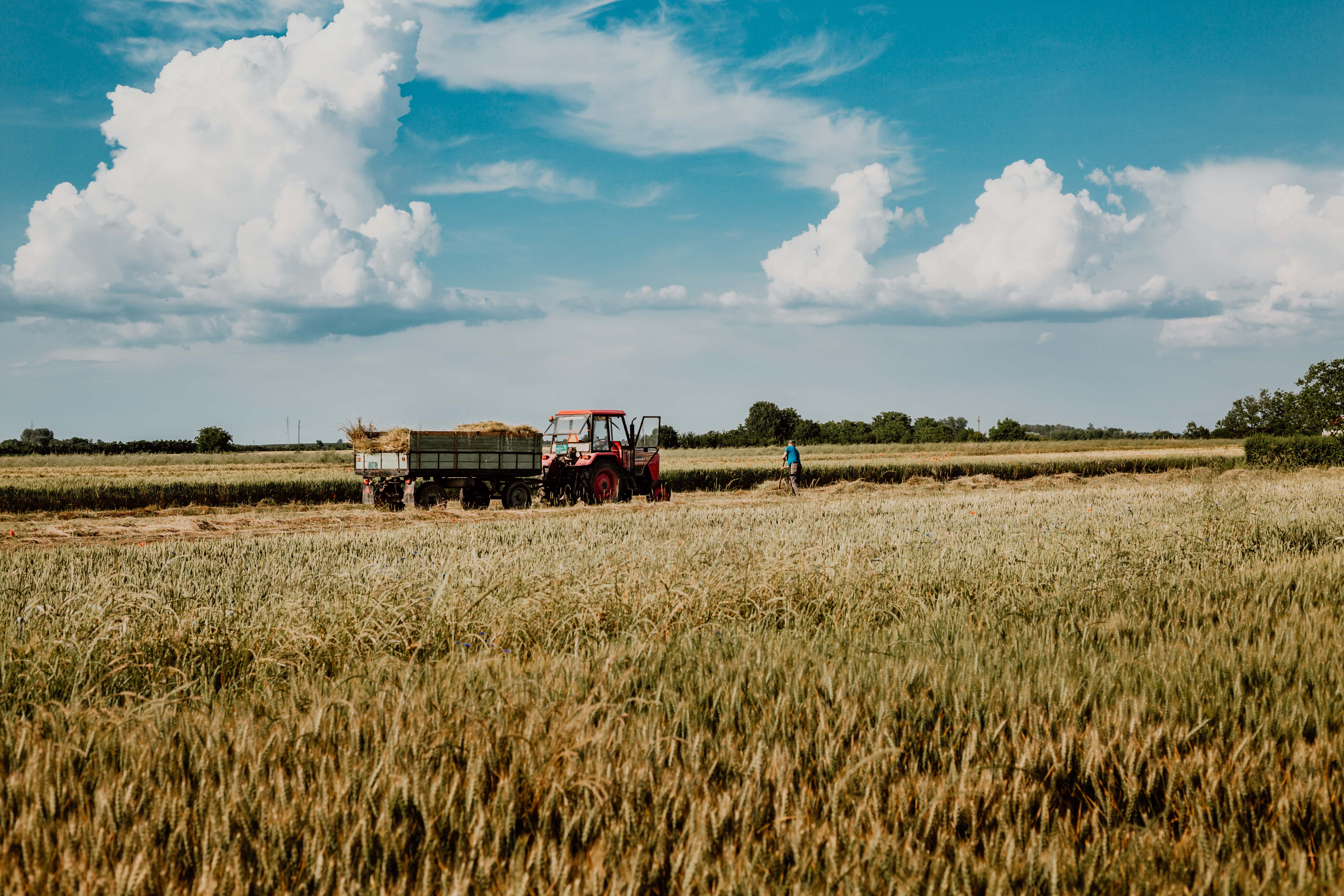 Работа пшеничное. Сельское хозяйство трактор. Пшеничное поле с трактором. Сбор урожая пшеницы. Поле пшеницы комбайн.