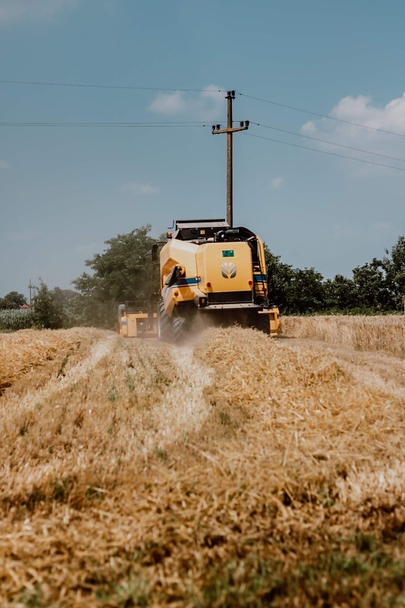 vehicle, harvester, harvest, industrial, machine, agriculture, field, rural, farm, wheat