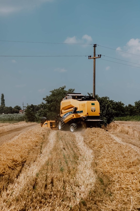 máquina segador, máquina, Harvest, Wheatfield, trigo, agricultura, campo, dispositivo, granja, campo