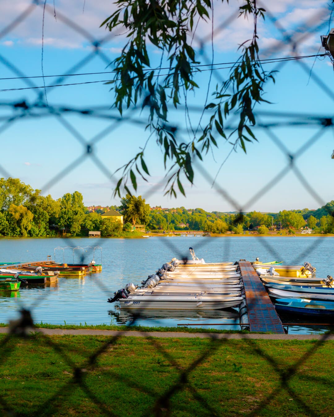 fence, dock, harbour, boat, water, summer, nature, tree, sun, wood