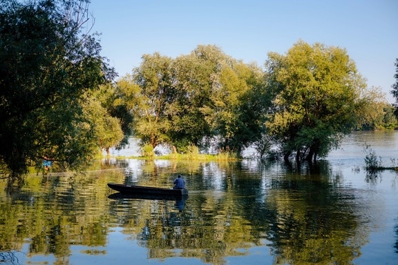 paddle, river boat, man, floodplain, floor, riverbank, spring time, river, water, reflection