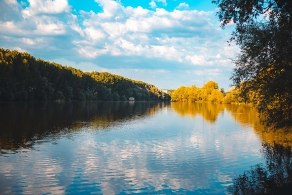 calm, idyllic, lakeside, atmosphere, tree, landscape, water, river, lake, reflection