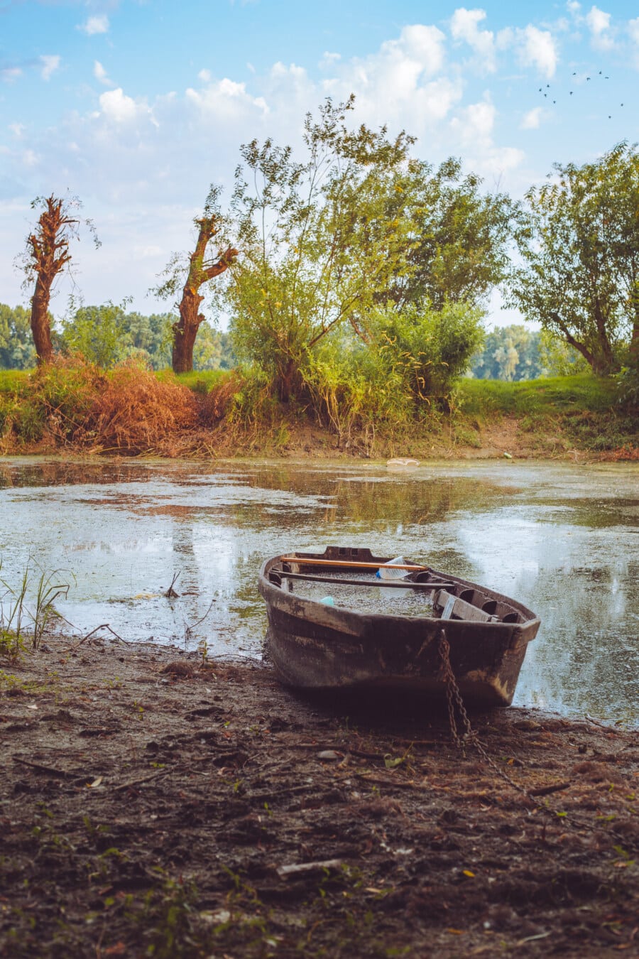 abbandonato, barca di fiume, in legno, inondazione, palude, acqua, barca, natura, fiume, tempo libero