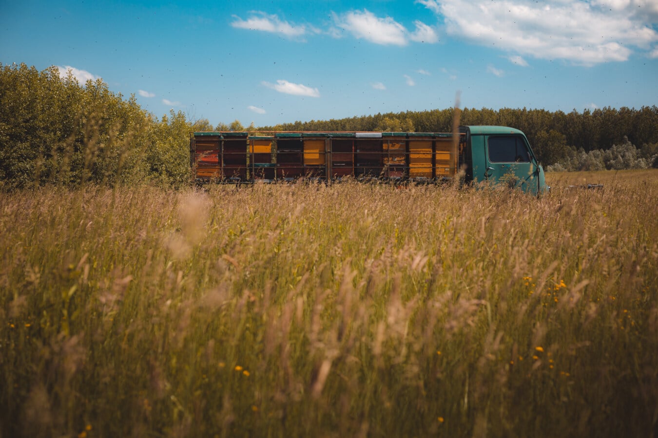 caminhão, Colmeia, verão, campo, prado, grama, paisagem, rural, pôr do sol, natureza
