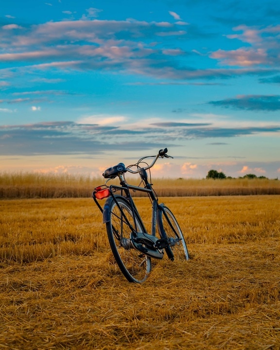 Fahrrad, Weizen, Weizenfeld, Sommersaison, Landwirtschaft, Dämmerung, Fahrrad, Rad, Sonnenuntergang, Natur