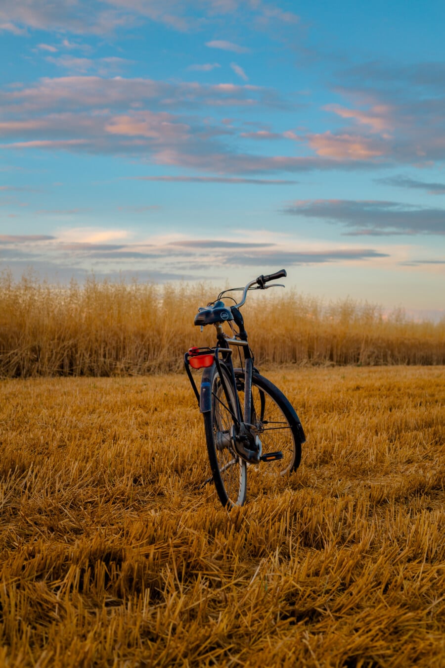 vélo, champ de blé, blé, Agriculture, campagne, roue, coucher de soleil, vélo, à l’extérieur, paysage