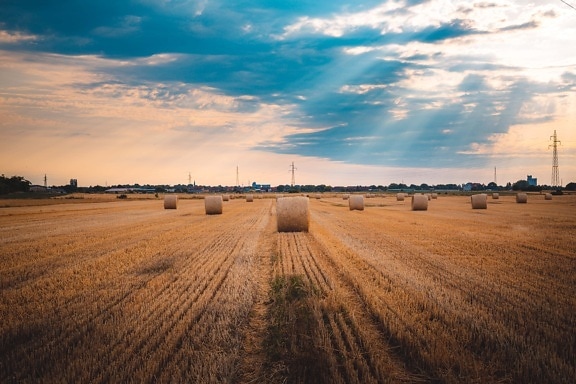 haystack, hay field, sunshine, sunrays, sunny, harvest, agriculture, field, landscape, rural
