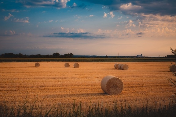 haystack, hay field, hay, summit, evening, straw, field, agriculture, landscape, sunset