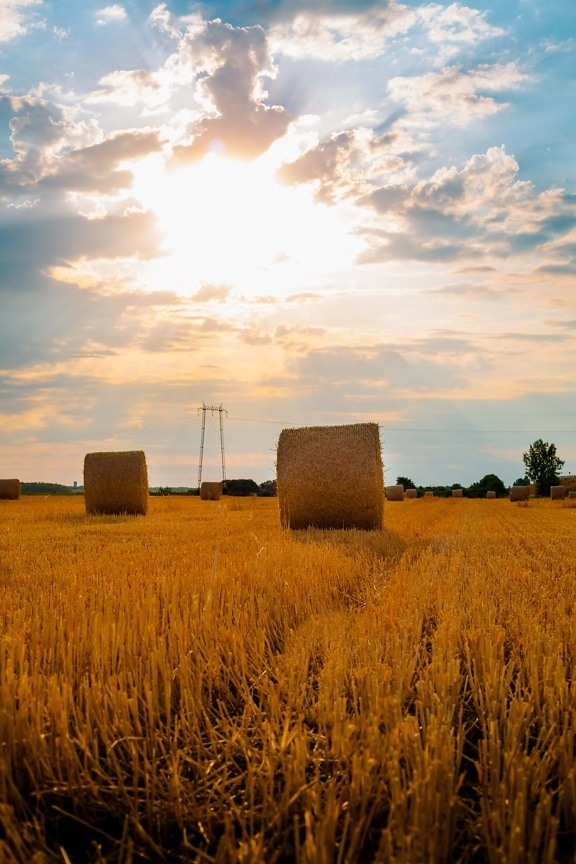 sunlight, sunny, sunshine, haystack, sunrays, hay field, hay, agriculture, field, harvest
