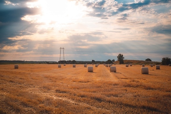 sunlight, sunshine, summer season, haystack, hay field, hay, agriculture, landscape, sunset, feed