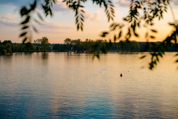на берегу озера, сумерки, вечер, горизонт, вода, отражение, солнце, пейзаж, дерево, закат