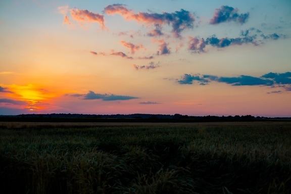 field, dusk, sunset, agriculture, sun, atmosphere, rural, cloud, dawn, landscape