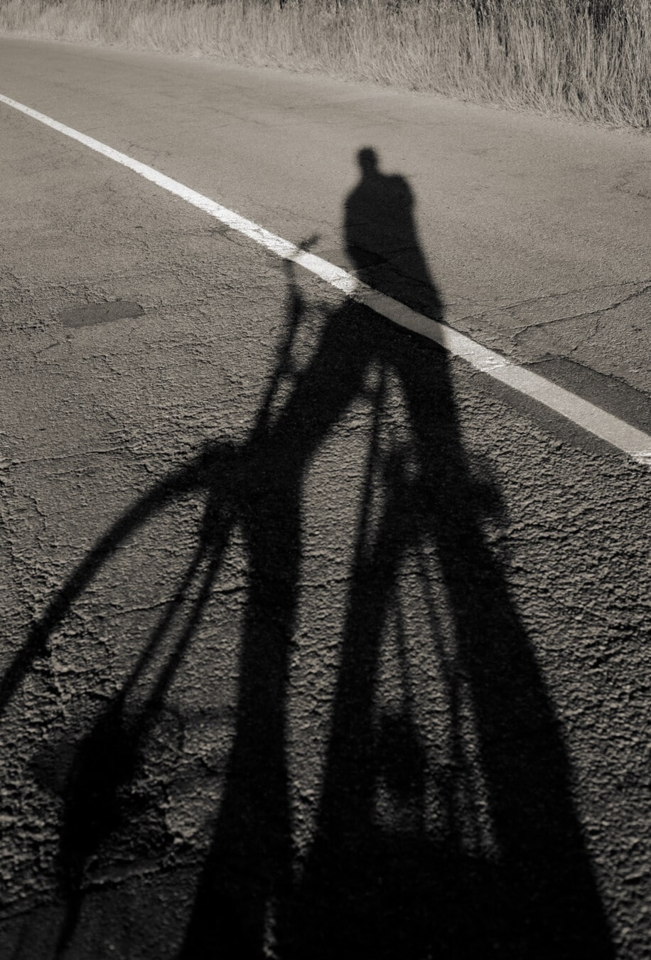 sombra, bicicleta, asfalto, estrada, viagem, viagens, rota, preto e branco, pessoas, rua