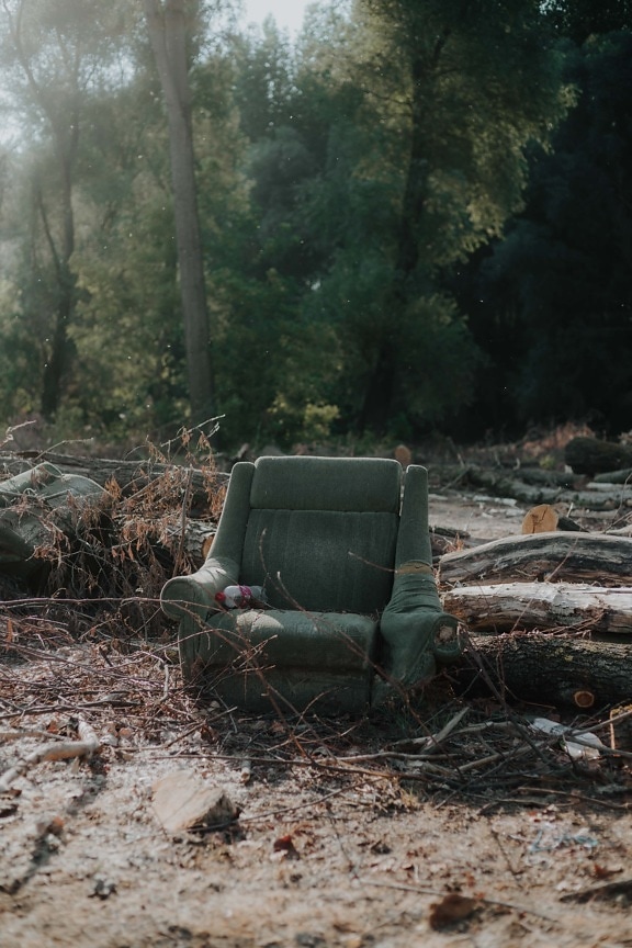 old, armchair, trash, garbage, forest, firewood, recycling, landscape, tree, seat
