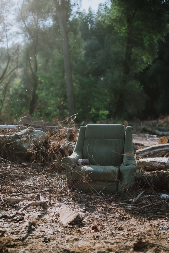 ghế bành, phân rã, màu xanh lá cây, phong cách cũ, thùng rác, bẩn, rác thải, rừng, củi, nhiều cây cối
