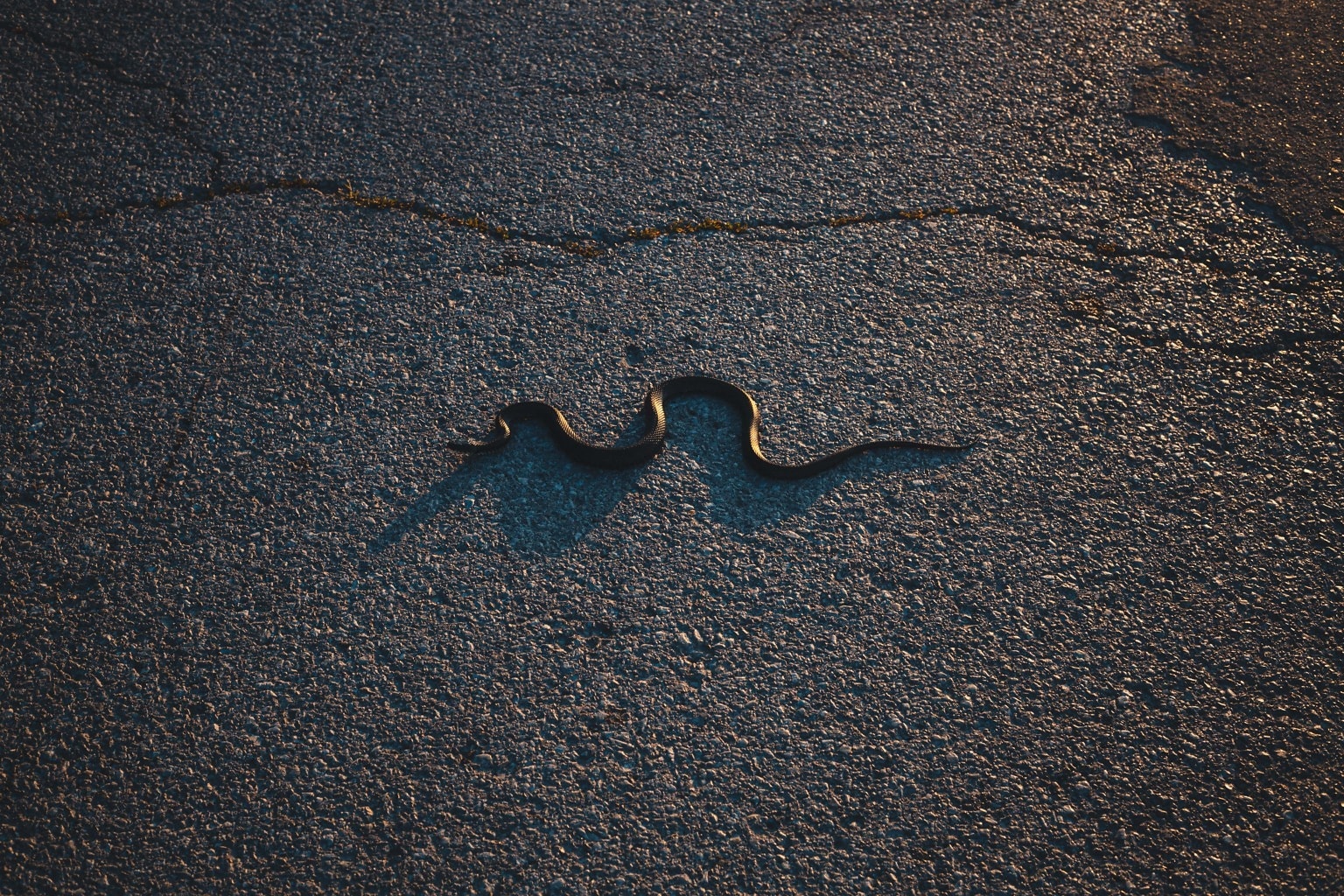 Дорога змейка. Змей тень.