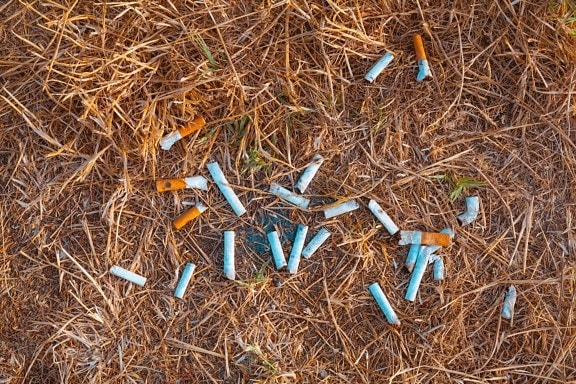 cigarette smoking, ash, dirt, garbage, waste, trash, summer season, grass, ground, dry season