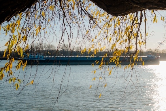 shipment, barge, cargo ship, branches, yellow leaves, sunny, day, nature, water, wood