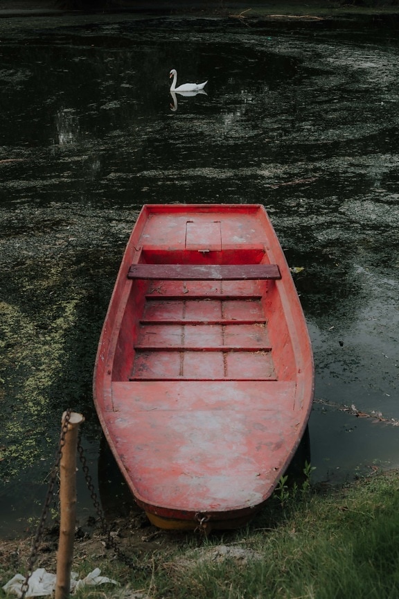 boot, donkerrood, oever van de rivier, rivierboot, genade, zwaan, majestueus, waterscooters, water, meer