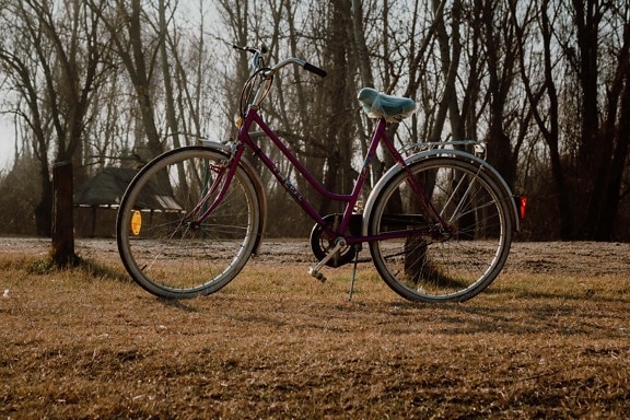 bicikl, klasično, stari stil, biciklizam, sjedište, uređaj, ciklus, bicikl, kotač, drvo