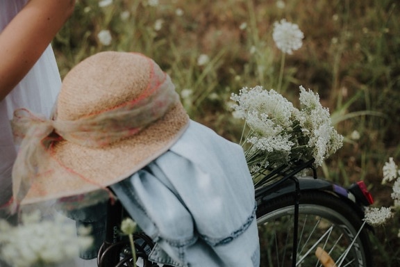 bicicleta, prado, flores silvestres, temporada de verano, Hat, flor, naturaleza, al aire libre, mujer, verano