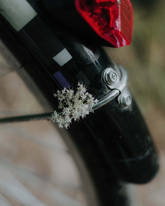 white flower, small, bicycle, close-up, detail, focus, flower, vehicle, wheel, blur