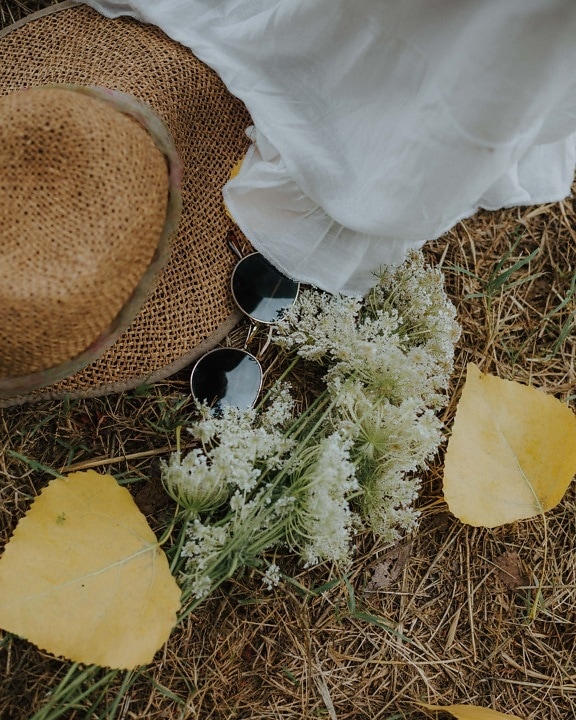old fashioned, sunglasses, hat, yellow leaves, wildflower, white flower, still life, herb, flower, rural